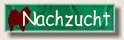 die vom Bollmannbrunnen